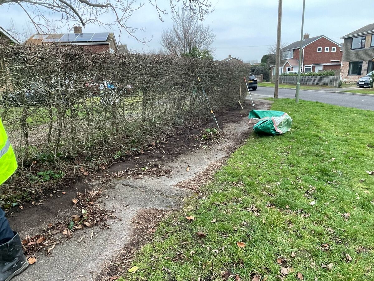 St Francis Verge Clearing  130225